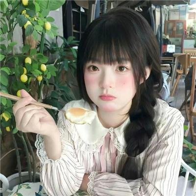 金鹿封面