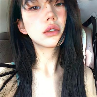 布拉多封面
